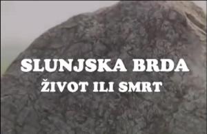 Amina Begović