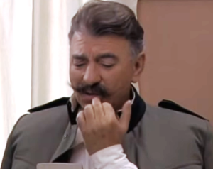 poručnik Stevan (Milenko Pavlov)