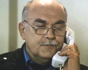 policajac (Branko Jerinić)