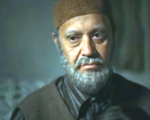 Emir Hadžihafizbegović