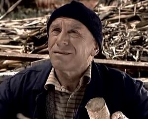 Mišula (Boro Stjepanović)