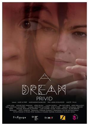 PRIVID (2017)