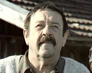 Pavle Vuisić
