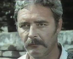 Dušan Bulajić