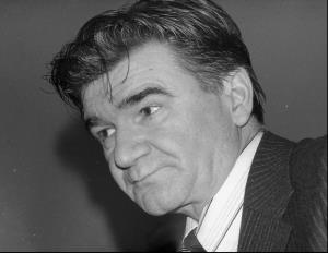 Stole Janković, Partizani (1974)