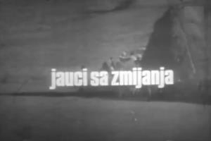 Nikola Milić