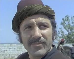 Muselim (Velimir Bata Živojinović)