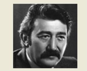 Branko Gapo