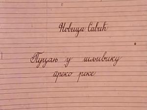 kuvarica (Ljiljana Peroš)
