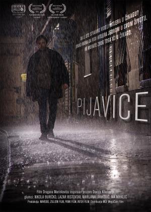kritičar (Branislav Jevtić)