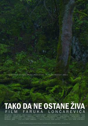  (Admir Šehović)