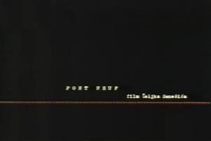 PONT NEUF (1997)