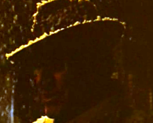 šef (Velimir Bata Živojinović)