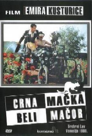 CRNA MAČKA BELI MAČOR (1998)