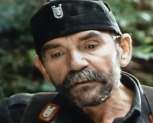 Dragan Maksimović