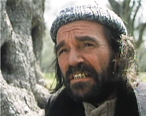 Dragan Maksimović