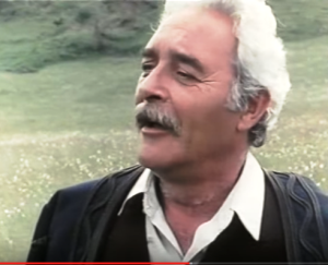 Dušan Bulajić