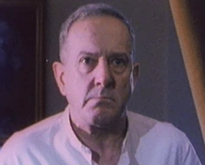 Libek (Miodrag Radovanović)