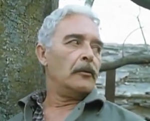 Dušan Bulajić