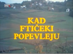 Vanja Matujec