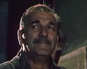 komandant policijskog odreda (Velimir Bata Živojinović)