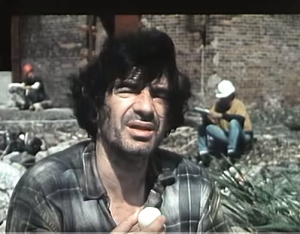 Predrag Miki Manojlović