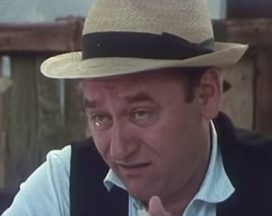 domaćin (Petar Kralj)