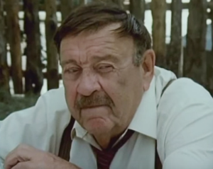 Muzafer (Pavle Vujisić)