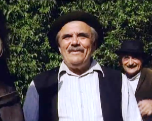 Mate Ergović