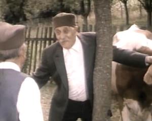 deda Radovan (Ratko Sarić)