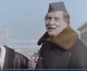 Boro Begović