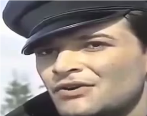 Čajka (Tihomir Arsić)