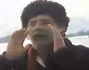 bosanski seljak (Boro Begović)