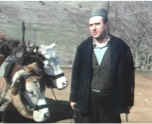 Jovan Bunić (Vladan Živković)