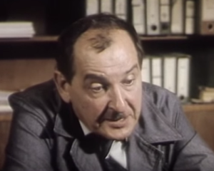 Vlasta Velisavljević