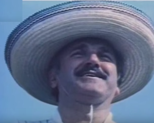 funkcioner (Velimir Bata Živojinović)