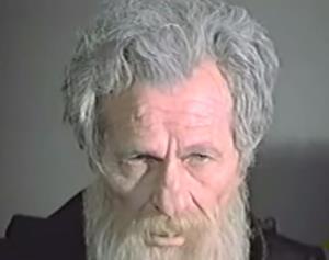 iguman Makarije (Dragomir Felba)
