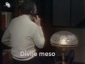 DIVLJE MESO (1982)
