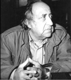 Aleksandar Petrović, Banović Strahinja (1981)