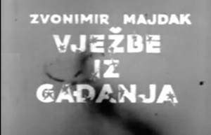 Svetlana Bojković