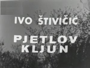 Edo Vujić