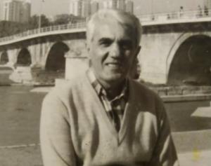 Petar Šobajić