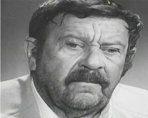 Pavle Vuisić