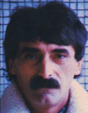 Slika 1