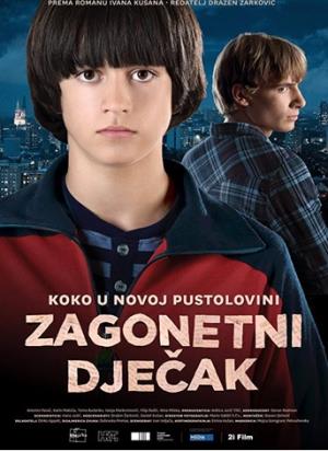 ZAGONETNI DJEČAK (2013)