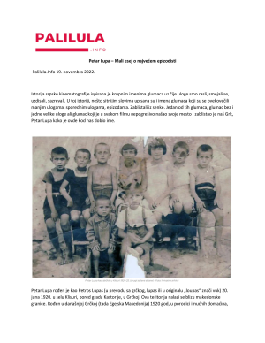 Portal PALILULA INFO 19-11-2022