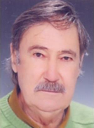 Slika 1