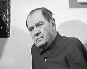 Radomir Raša Plaović
