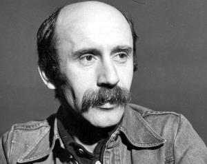 Boro Stjepanović