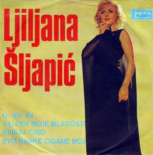 Slika 1